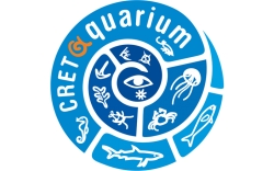 В CretAquarium можно посмотреть на переработанную &quot;морскую&quot; одежду